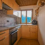 Hutte Thaler בקתה פוגן
