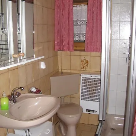 Chalet Hutte Thaler Fuegen