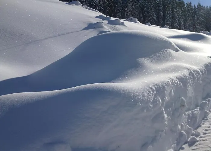 Hutte Thaler Domek alpejski